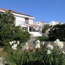 Apartmani